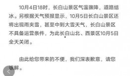半山吃瓜小说全文免费版,揭秘都市风云背后的秘密
