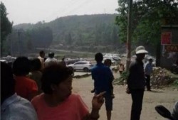 莆田东海镇爆料案件最新,真相渐明，疑云散去