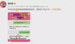 塌房艺人被爆料视频大全,视频爆料大全深度解析