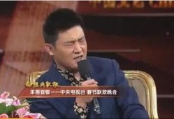 蔡文亮爆料孙涛视频,真相与争议并存