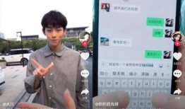 日本病毒爆料视频播放网站,真相与争议并存