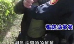 最新舅舅爆料视频大全集,揭秘娱乐圈不为人知的幕后故事
