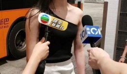 网民爆料许大小姐视频,揭秘背后真相
