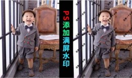 怎么爆料偷盗视频呢图片,如何有效爆料视频与图片