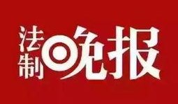 新闻爆料配音素材,揭开事件背后真相