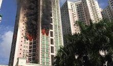 深圳新闻网 爆料,揭秘背后惊人真相