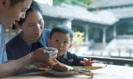 小伟哥爆料假拳视频播放,小伟哥曝光假拳视频引发热议