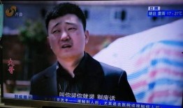旭峰大哥爆料视频大全,揭秘幕后真相，带你走进事件核心