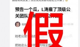 娱乐爆料 时团队叫什么,揭秘“时团队”背后的神秘力量